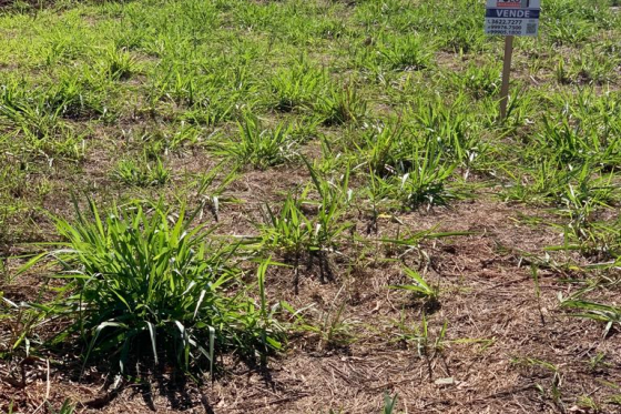 Terreno 220m Umuarama-PR 32